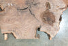 Oregon Black Walnut Round 100221-03