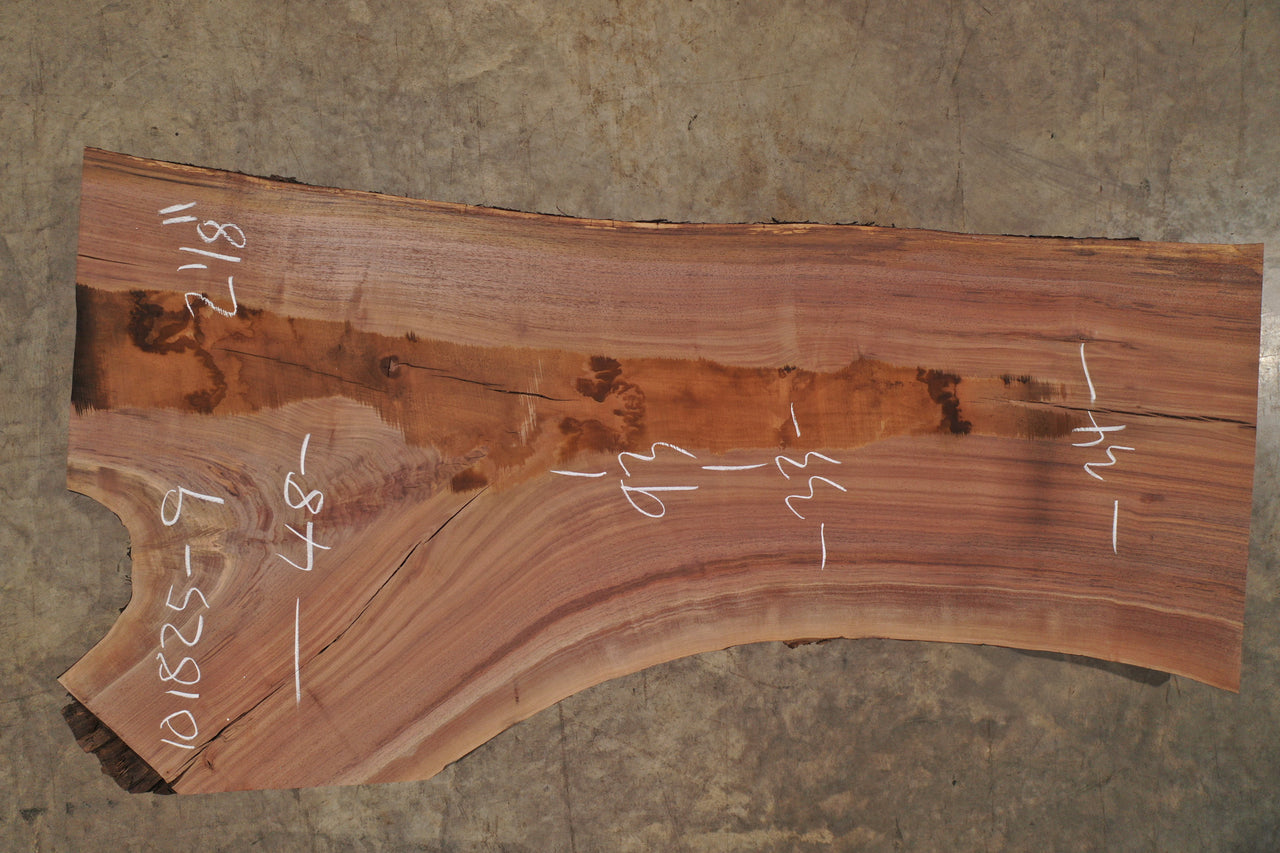 Oregon Black Walnut Slab 101825-9