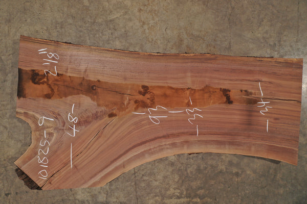 Oregon Black Walnut Slab 101825-9