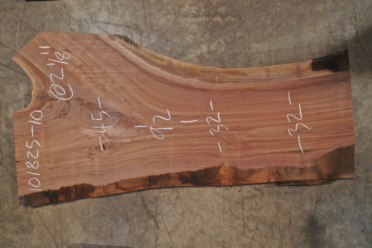 Oregon Black Walnut Slab 101825-10