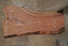 Oregon Black Walnut Slab 101825-10