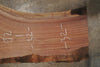 Oregon Black Walnut Slab 101825-10