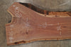 Oregon Black Walnut Slab 101825-11