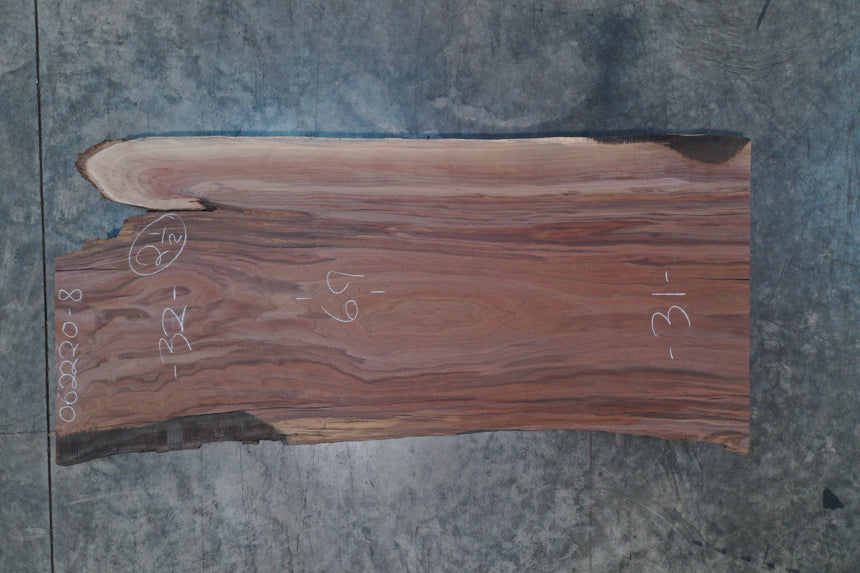 Oregon Black Walnut Slab 062220-08