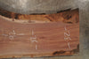 Oregon Black Walnut Slab 101825-11