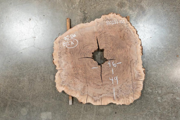 Oregon Black Walnut Round 100221-07
