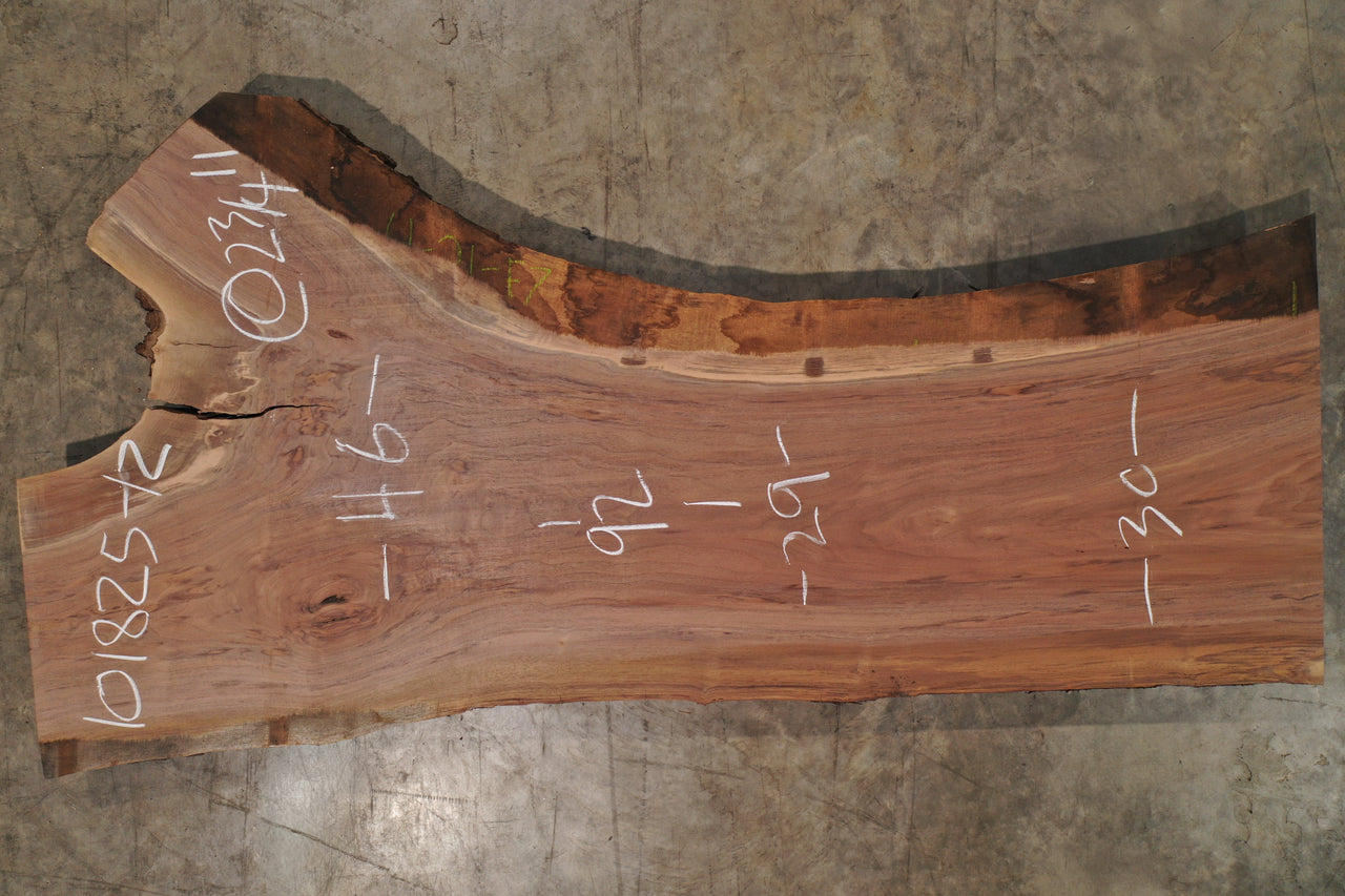 Oregon Black Walnut Slab 101825-12