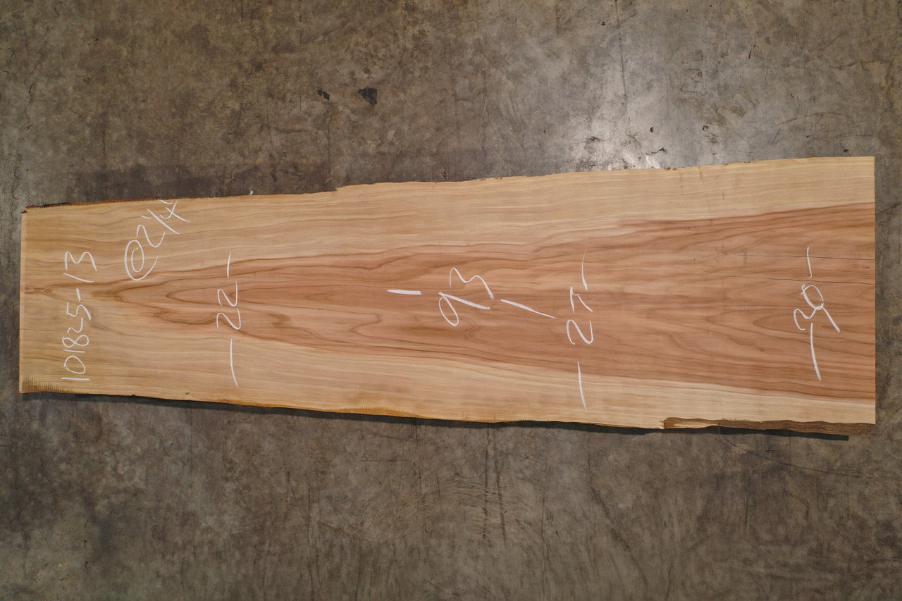 Oregon Sequoia Slab 101825-13
