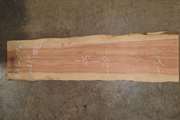 Oregon Sequoia Slab 101825-14