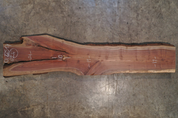 Oregon Black Walnut Slab 011225-04
