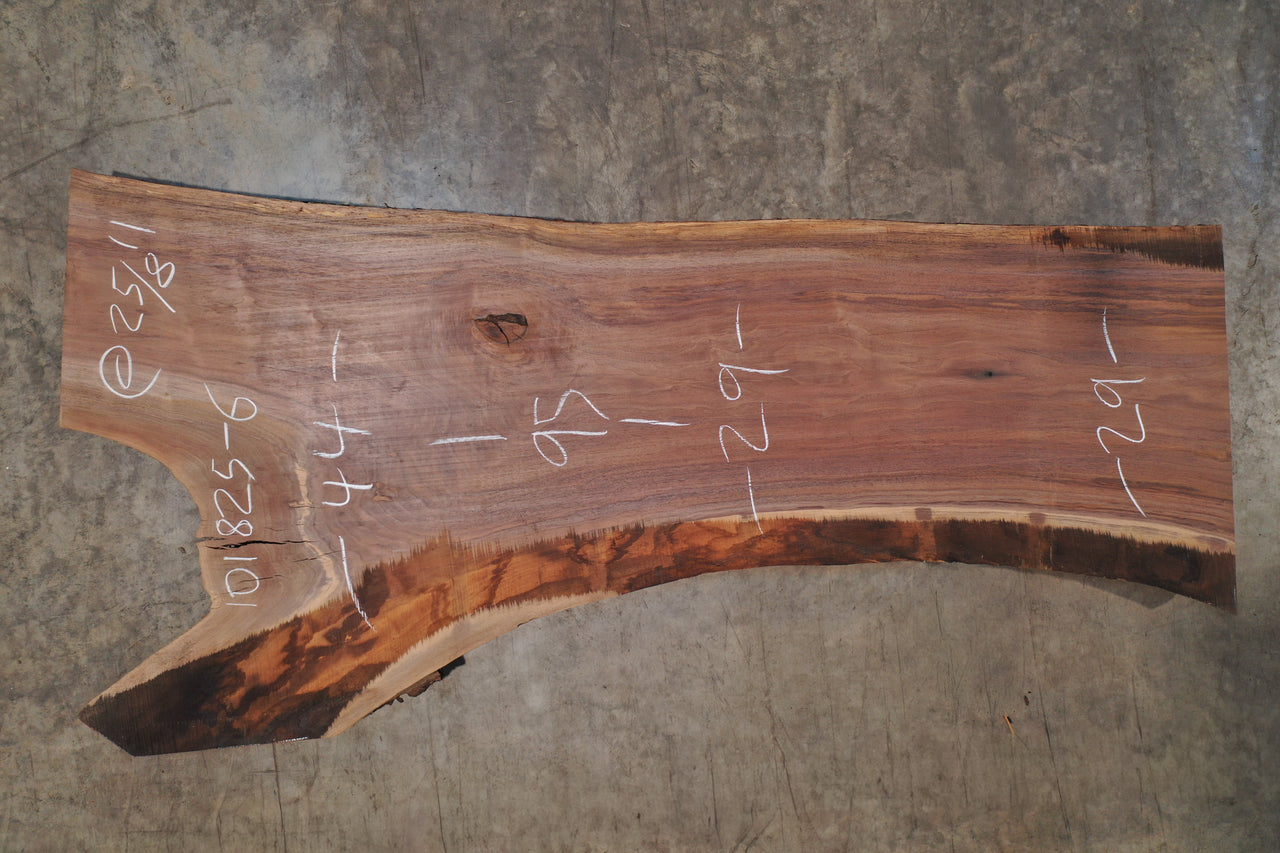Oregon Black Walnut Slab 101825-6
