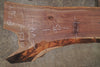 Oregon Black Walnut Slab 101825-6
