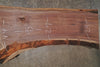 Oregon Black Walnut Slab 101825-6