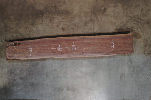 Oregon Black Walnut Slab 062225-2