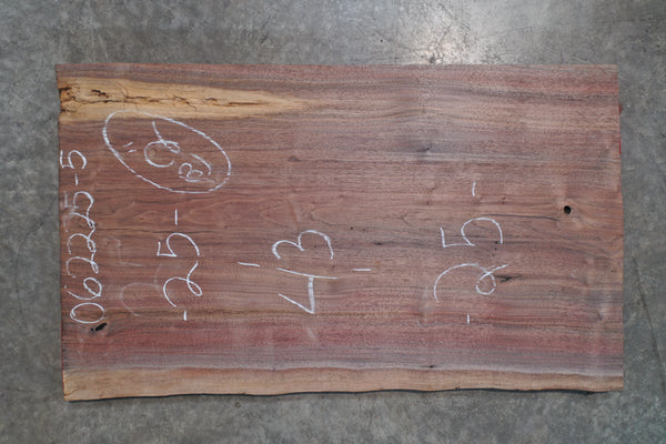 Oregon Black Walnut Slab 062225-5
