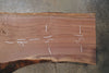 Oregon Black Walnut Slab 101825-7