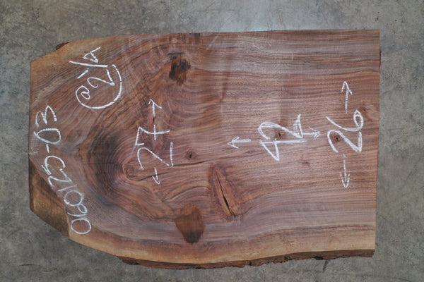 Oregon Black Walnut Slab 060125-3