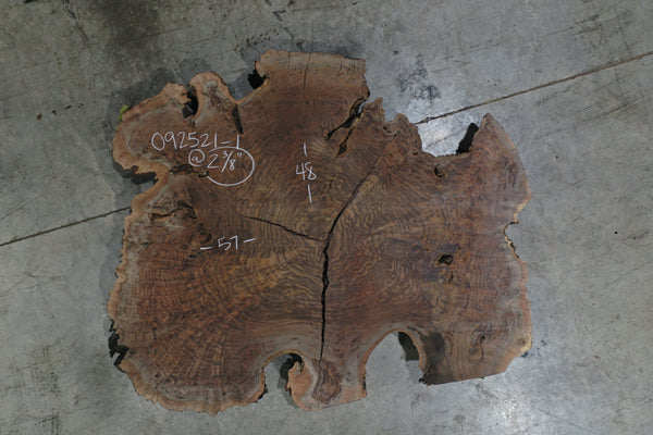 Oregon Black Walnut Round 092521-01