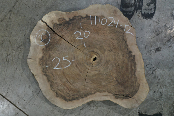 Oregon Black Walnut Burl Round 111024-12