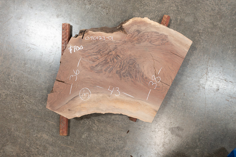 Oregon Black Walnut Slab 090123-01
