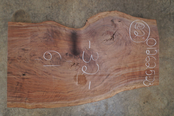 Oregon Black Walnut Slab 012625-23