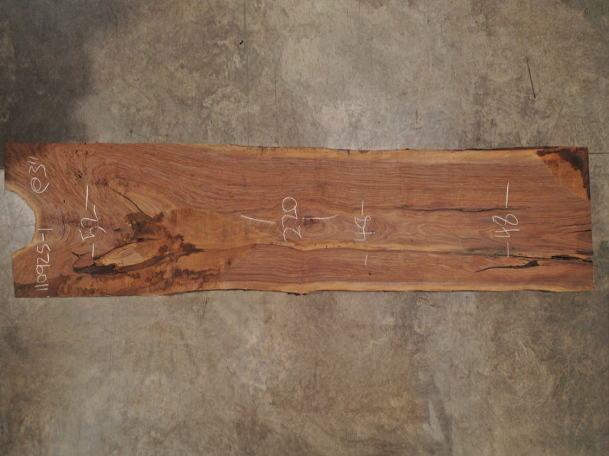 Oregon Black Walnut Slab 110925-1