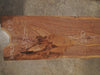 Oregon Black Walnut Slab 110925-1