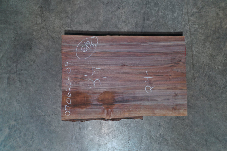 Oregon Black Walnut Slab 070625-9