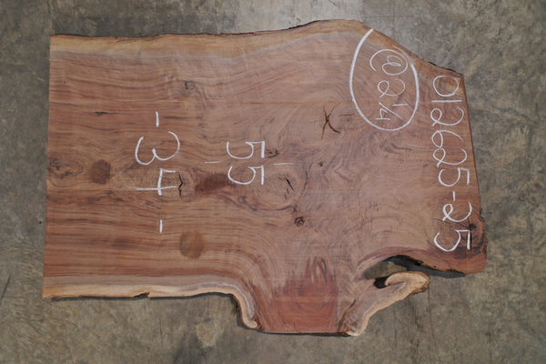 Oregon Black Walnut Slab 012625-25