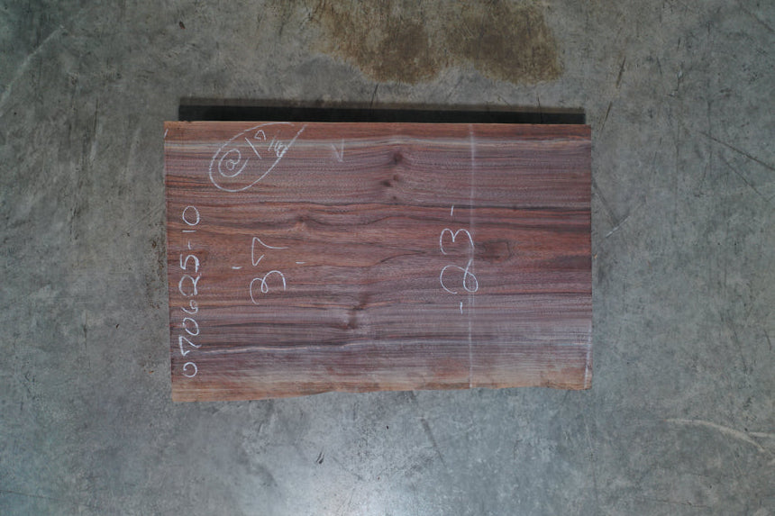 Oregon Black Walnut Slab 070625-10