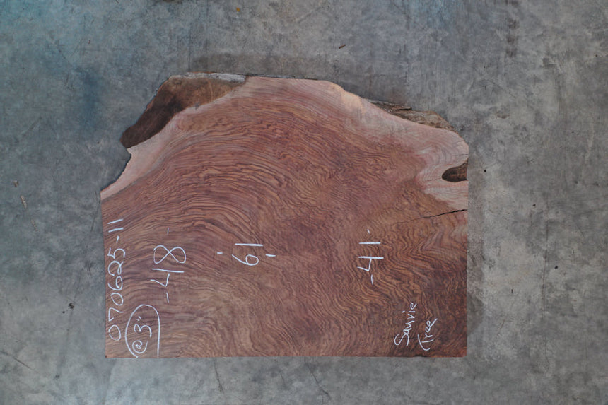 Oregon Black Walnut Slab 070625-11 SI