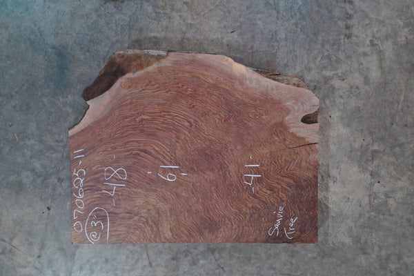 Oregon Black Walnut Slab 070625-11 SI