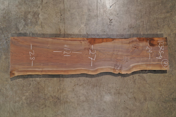 Oregon Black Walnut Slab 112325-9