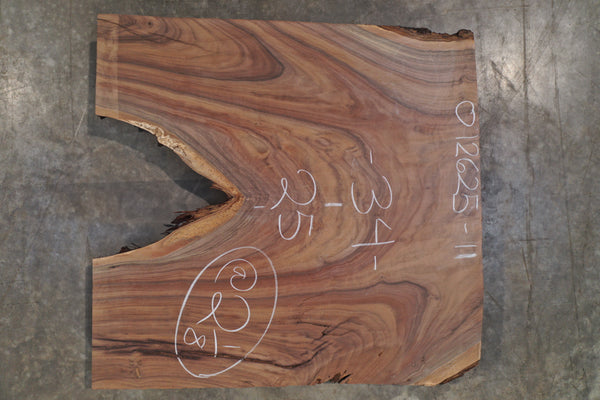 Oregon Black Walnut Slab 012625-11