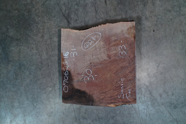 Oregon Black Walnut Slab 070625-16 Sauvie