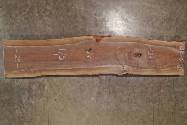 Oregon Black Walnut Slab 112325-10