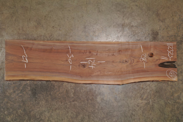 Oregon Black Walnut Slab 112325-11