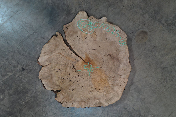 Maple Burl Round 070625-18