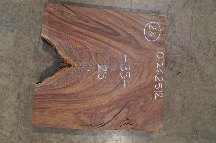 Oregon Black Walnut Slab 012625-12