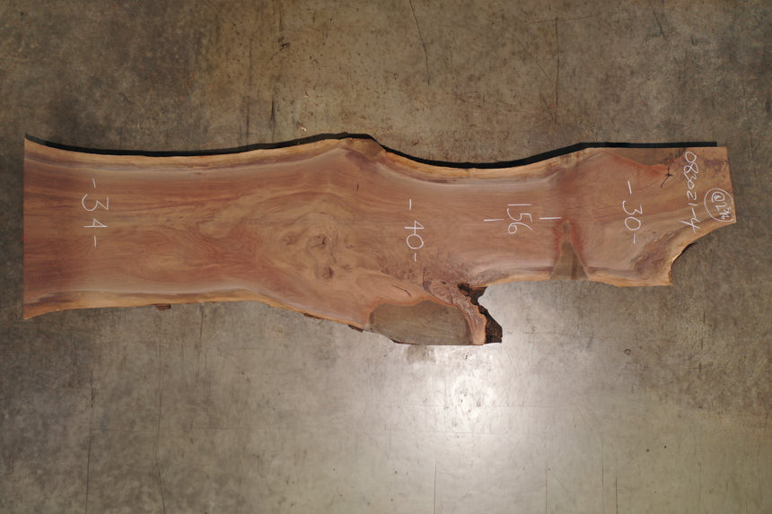 Oregon Black Walnut Slab 083021-4