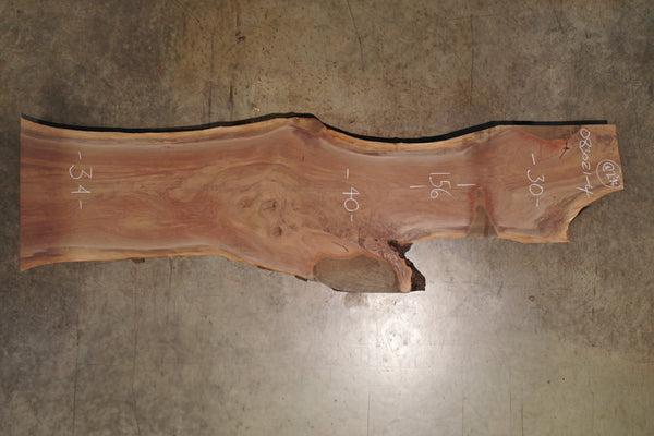 Oregon Black Walnut Slab 083021-4