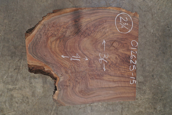 Oregon Black Walnut Slab 012625-15