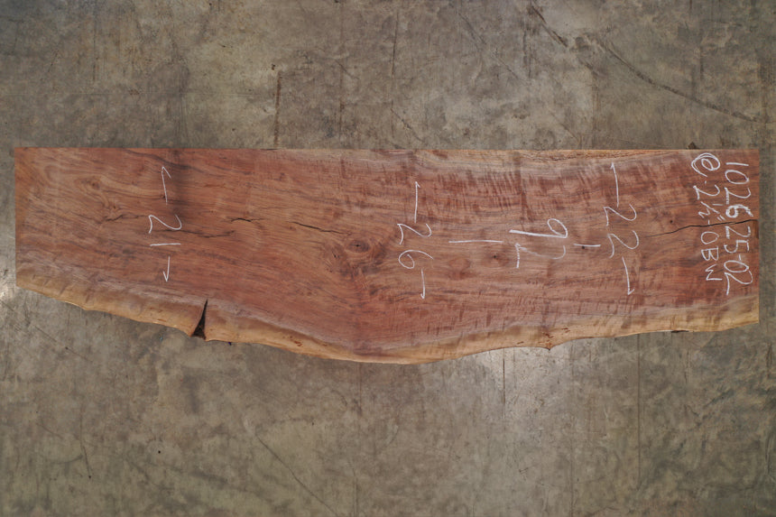 Oregon Black Walnut Slab 102625-2