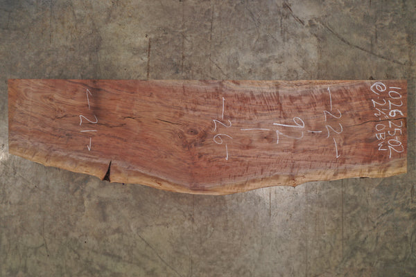 Oregon Black Walnut Slab 102625-2