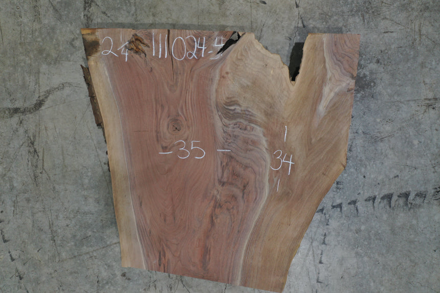 Oregon Black Walnut 111024-04