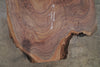 Oregon Black Walnut Slab 012625-15