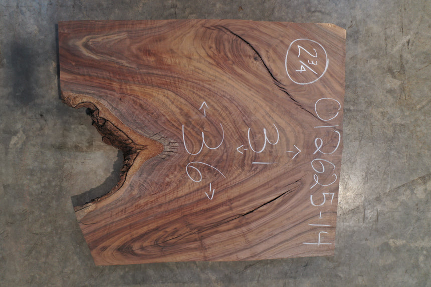 Oregon Black Walnut Slab 012625-14