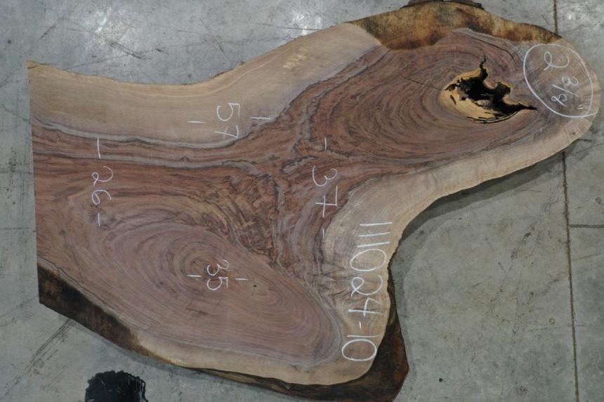 Oregon Black Walnut 111024-10