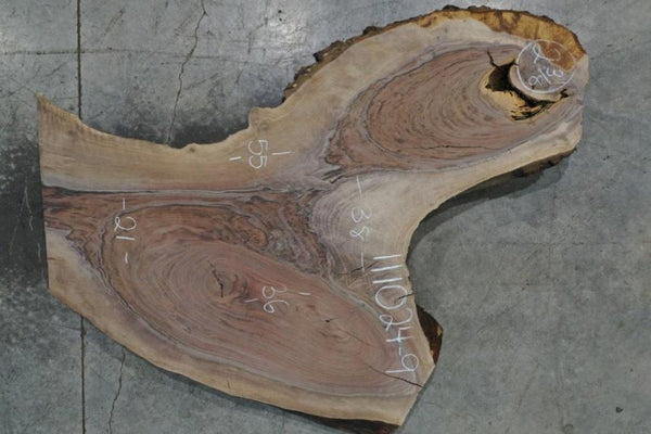 Oregon Black Walnut 111024-09