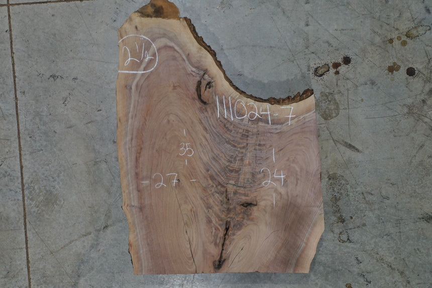 Oregon Black Walnut Slab 111024-07